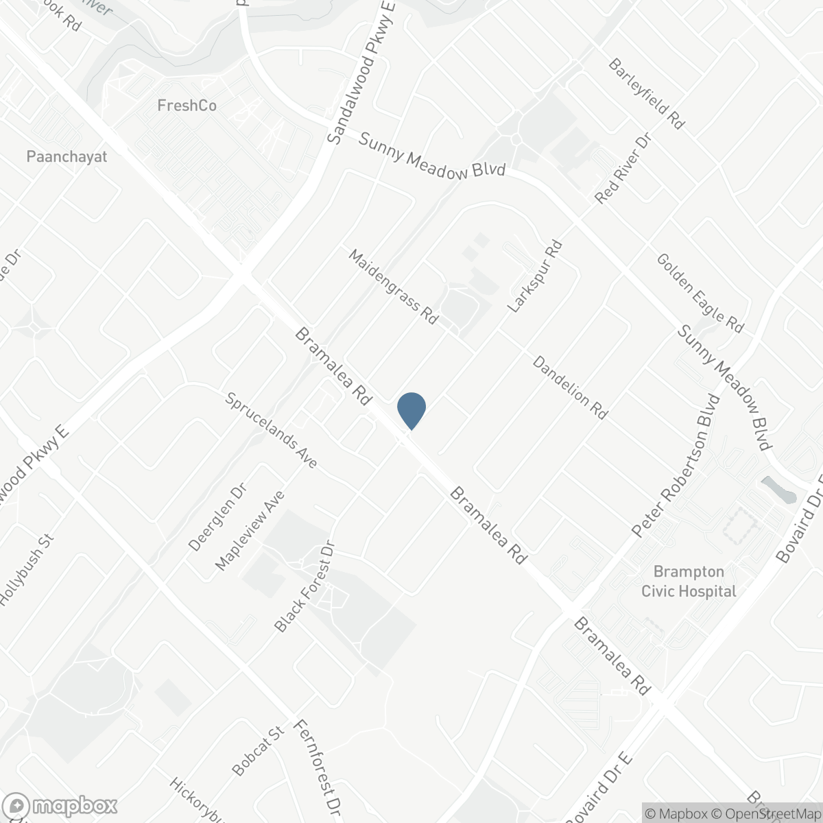 31 LARKSPUR ROAD, Brampton, Ontario L6R 1W8